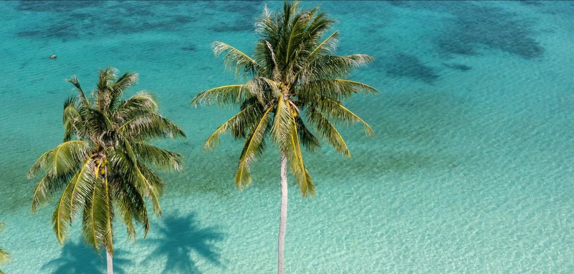 Governors Village - 1,2,3 & 4 Bedroom Apartments On Seven Mile Beach Corridor George Town Hotel