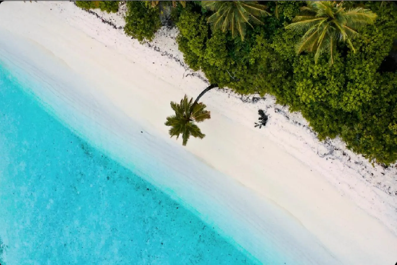 Governors Village - 1,2,3 & 4 Bedroom Apartments On Seven Mile Beach Corridor George Town